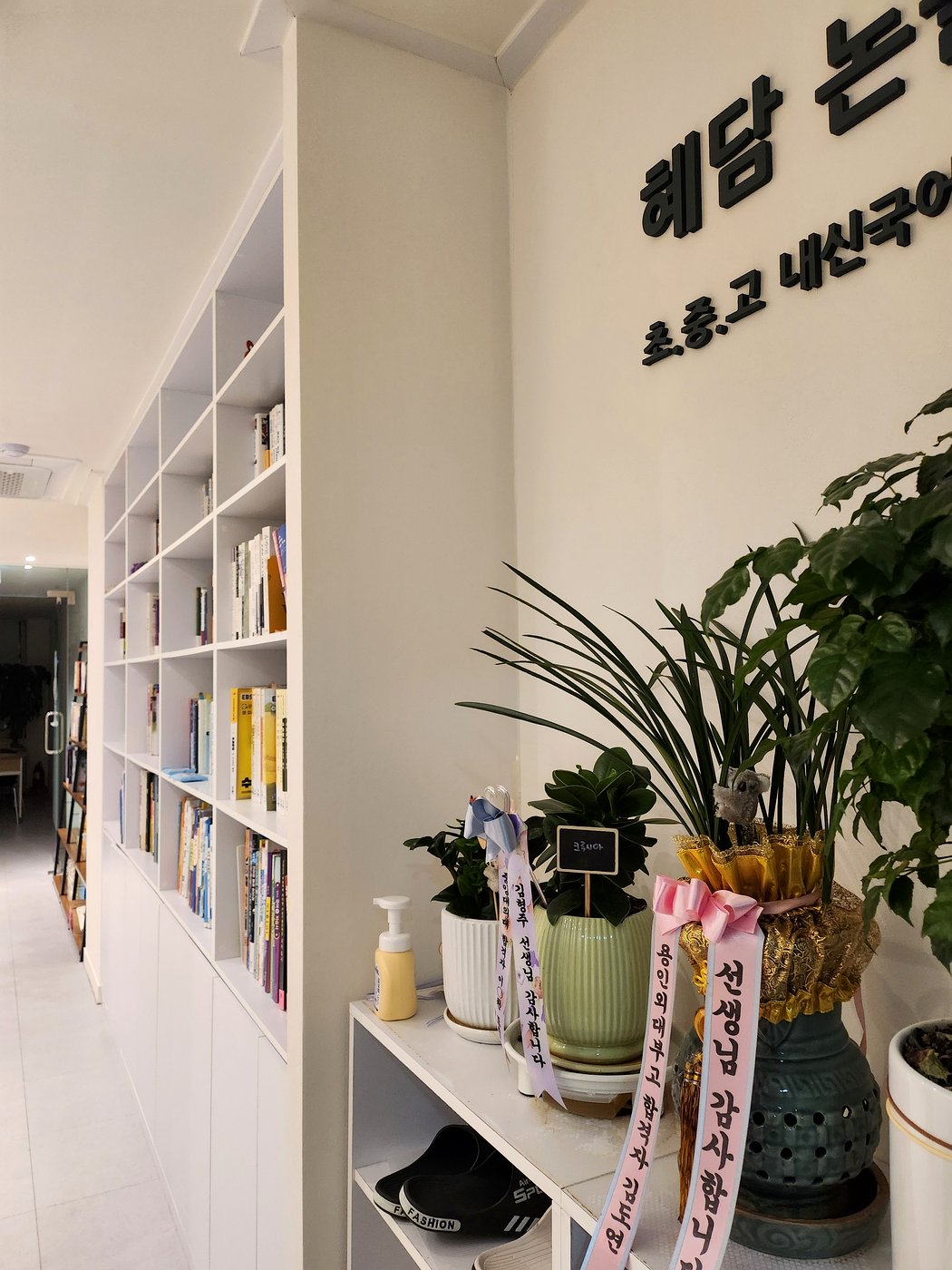 혜담 국어논술 교습소 입구의 책장과 식물